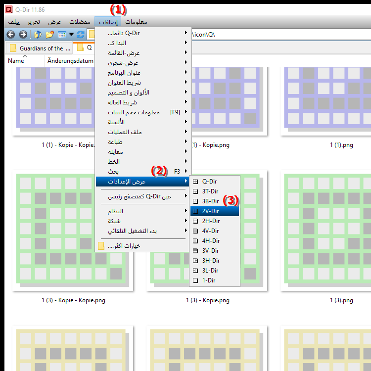 ما هو عرض 2V Dir في Quad File Explorer Q Dir